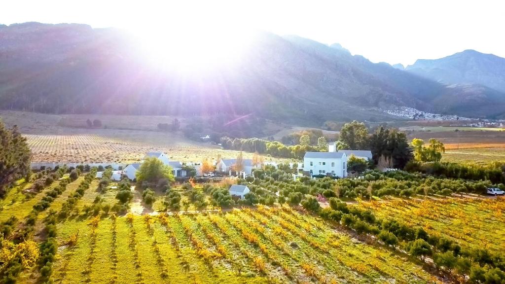 an aerial view of a vineyard with the sun in the background at Droom Guesthouse in Franschhoek