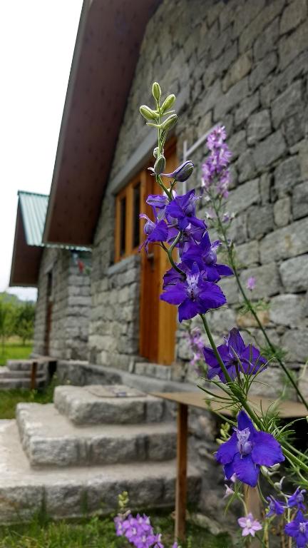 Zahrada ubytování Stone Huts