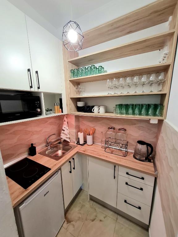 Kuchyň nebo kuchyňský kout v ubytování Kuća za odmor Primavera