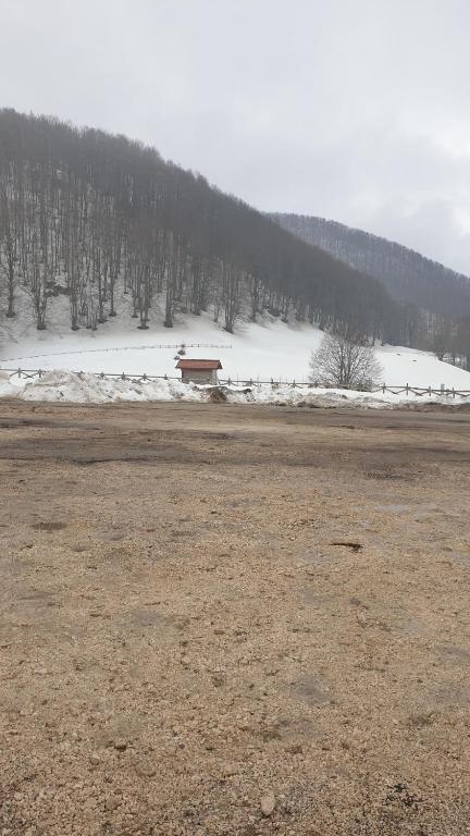 Příroda nedaleko apartmánu