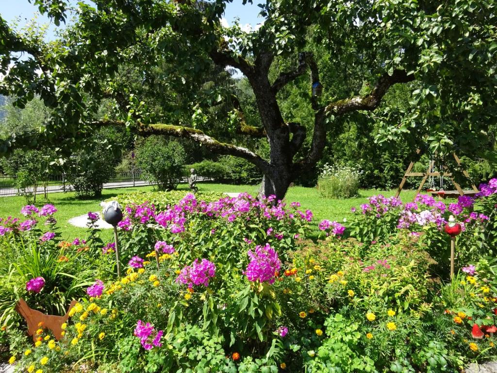 巴特萊辛哈爾的住宿－Ferienwohnungen Auhaus，园里种着一棵树的花