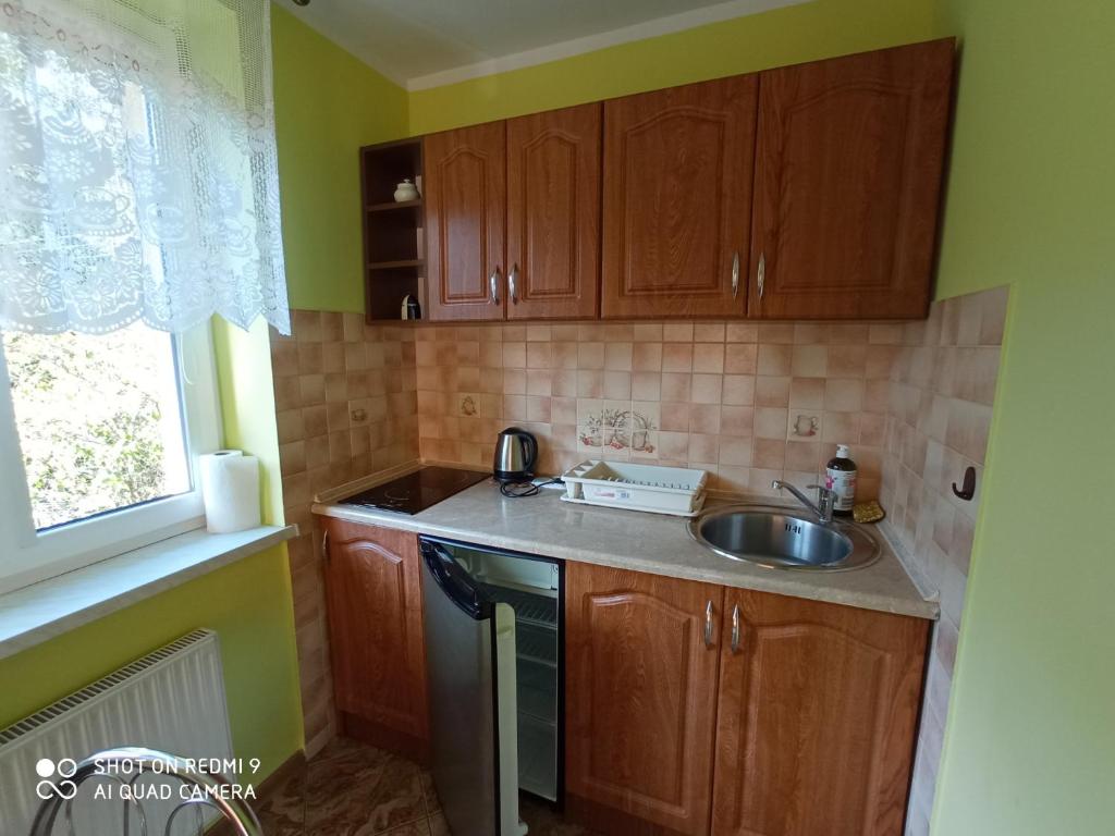 Kuchyň nebo kuchyňský kout v ubytování POKOJE GOŚCINNE "DOMINIK"