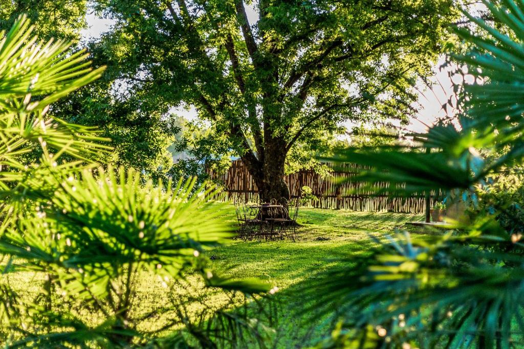 a large tree in the middle of a yard at Winterton Country Lodge @ Rose Cottage in Winterton