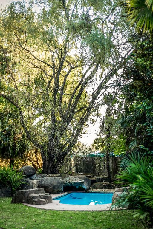 a swimming pool in a yard with a tree at Winterton Country Lodge @ Rose Cottage in Winterton