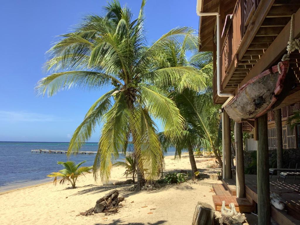 a palm tree on the beach next to a building at Reef Beach House - 2 Bedrooms in Roatán
