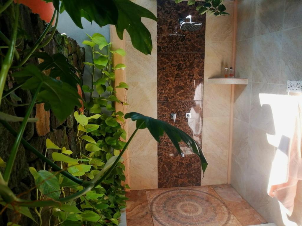 Fotografie z fotogalerie ubytování Suite Paraiso Azul v destinaci Tamarindo