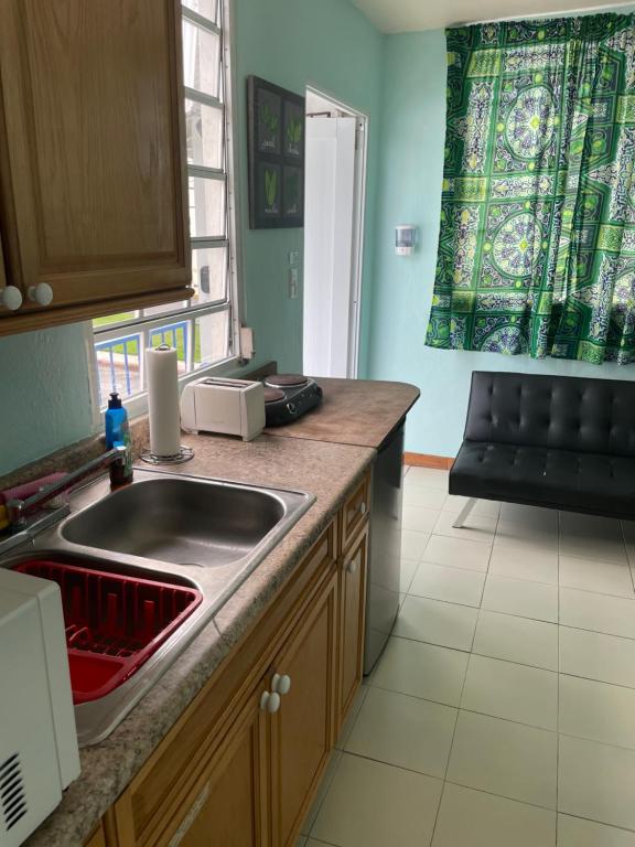 Kuchyň nebo kuchyňský kout v ubytování Villa Eshta