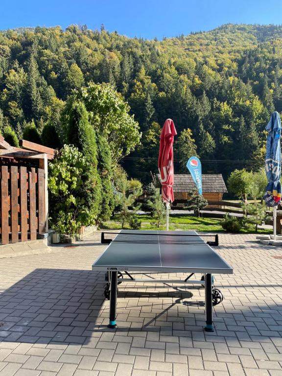 Stolní tenis v ubytování Pensiunea Bradului nebo okolí