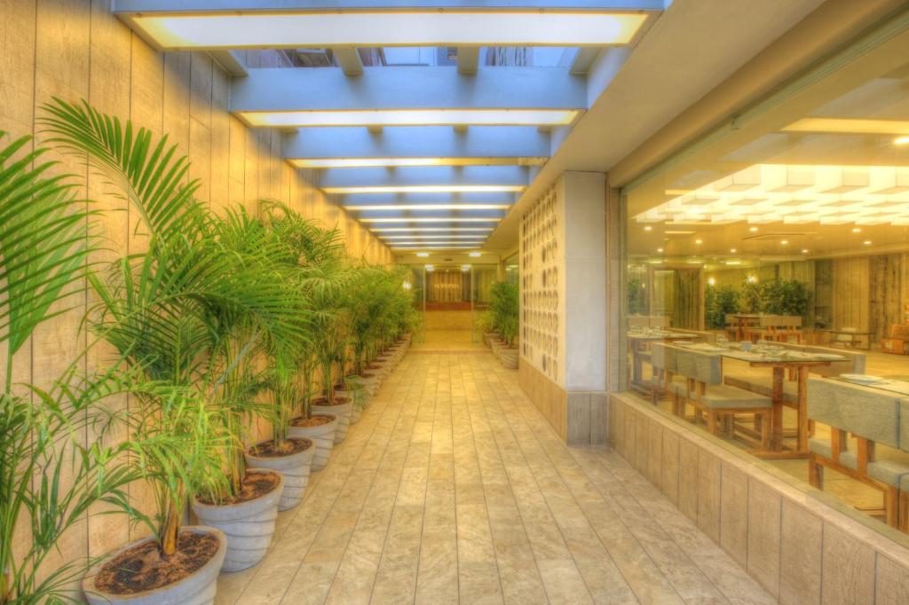 Restaurace v ubytování Scenaria Hotel