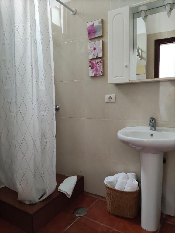 a bathroom with a sink and a shower curtain at Casa del Cu bano B- Biosphere Reserve in Santa Cruz de Tenerife