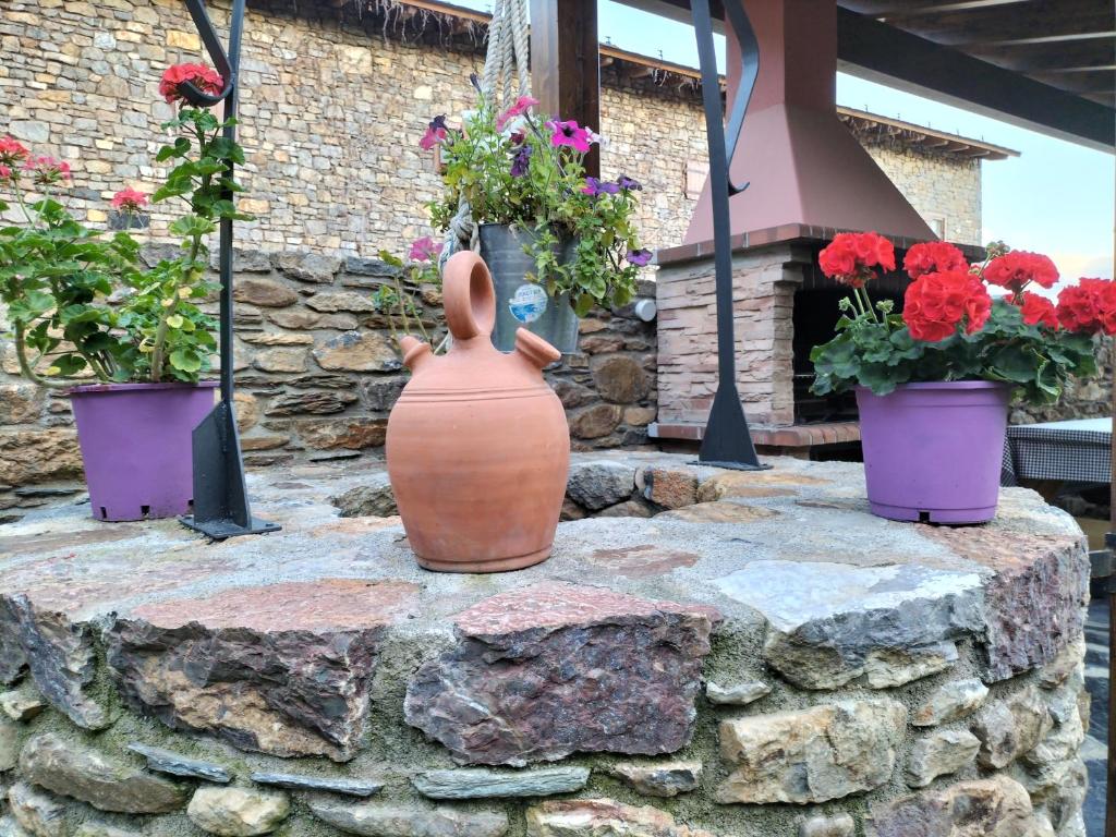 un jarrón sentado en la parte superior de una pared de piedra con flores en Cal Teler-Rufiandis, en Olopte