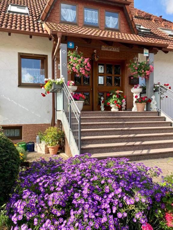 Zahrada ubytování Pension Höchemer