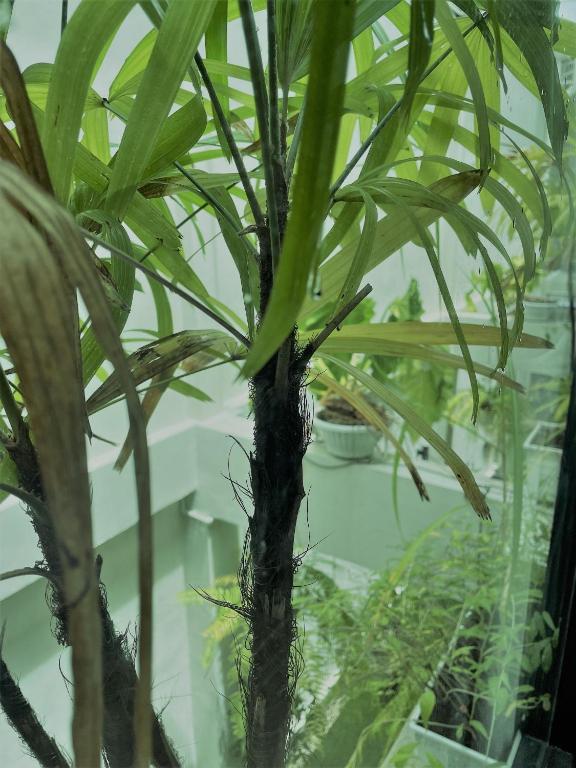 THE BELONG BOUTIQUE HOTEL - Resim 12