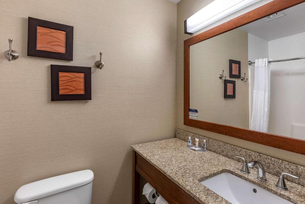 Comfort Inn & Suites Carbondale on the Roaring Fork - King Suite - Non-Smoking