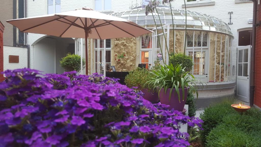 Zahrada ubytování B&B Huize Briers
