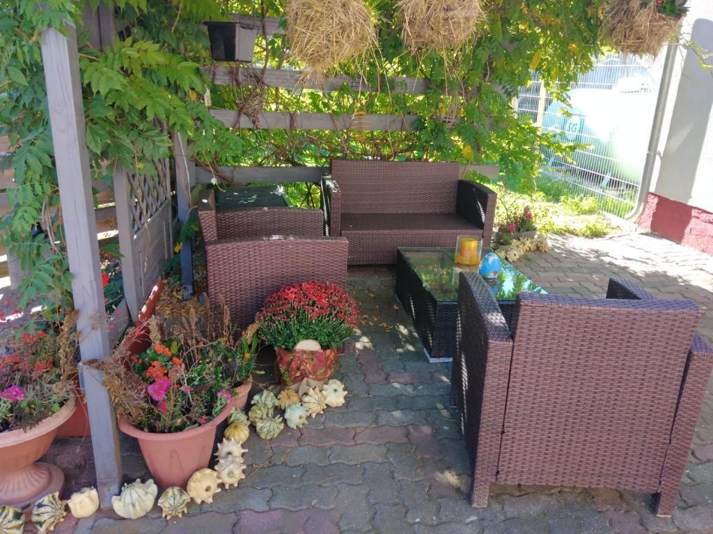 Zahrada ubytování Ferienhaus Badetz