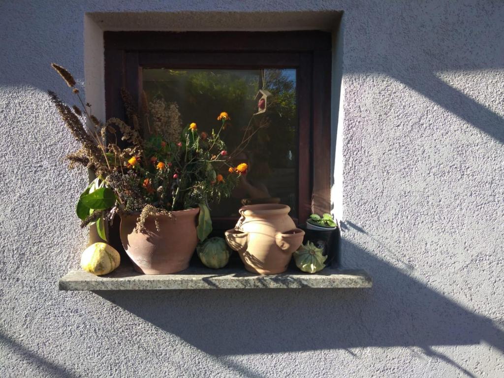 Fotografie z fotogalerie ubytování Ferienhaus Badetz v destinaci Badetz