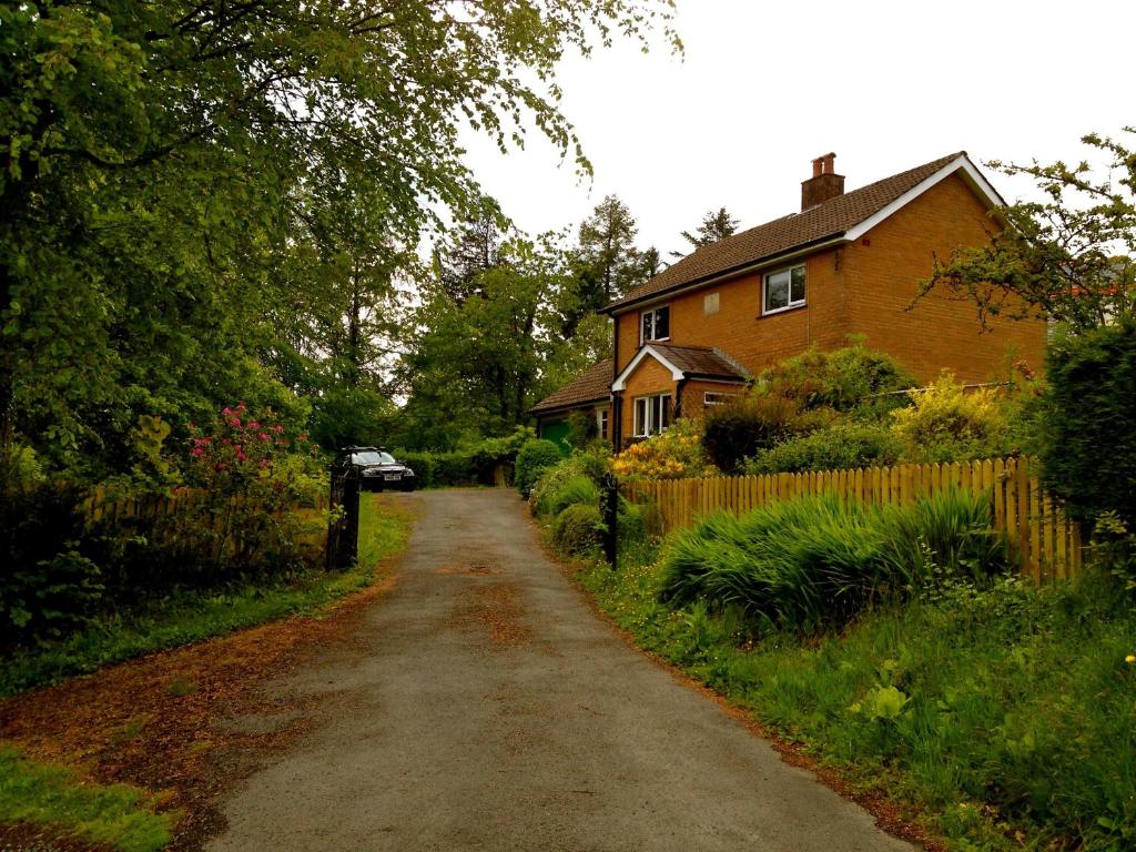 a dirt road in front of a house at Llys y Coed in Brechfa