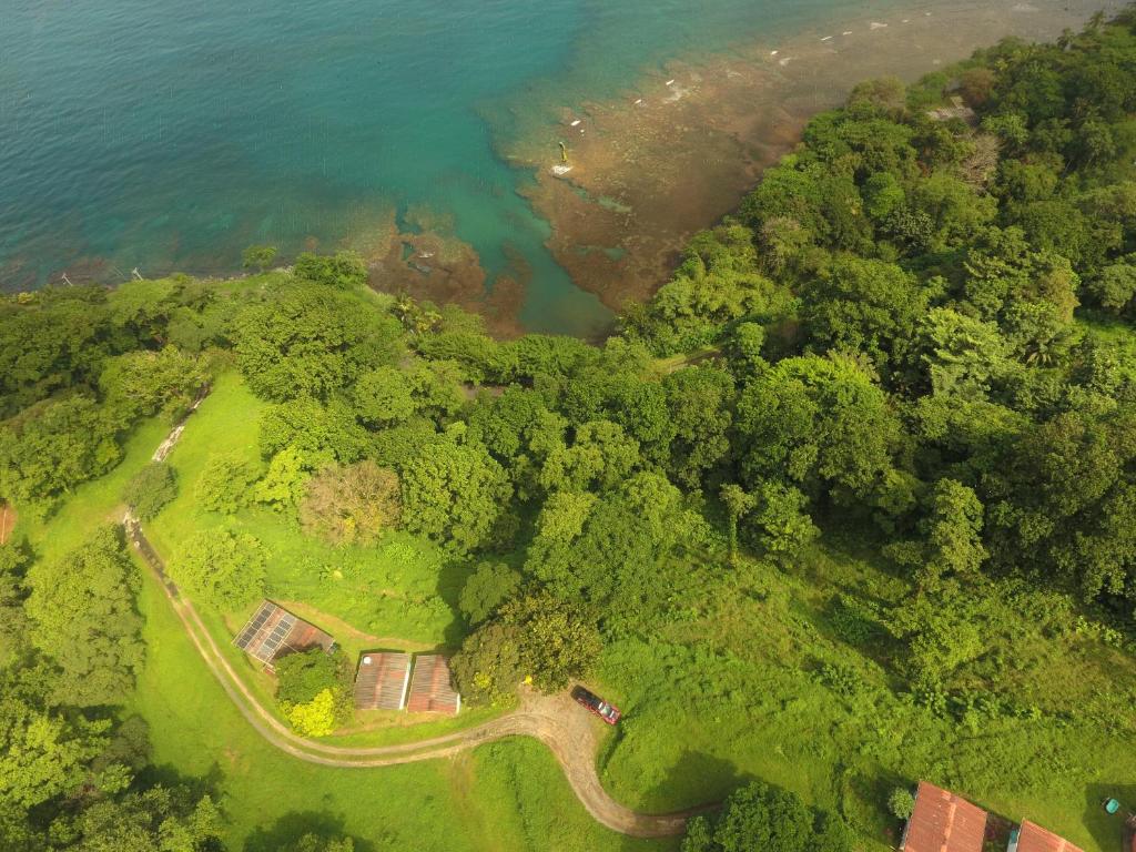 an aerial view of a forest next to a body of water at Rancho Juancho in Portobelo