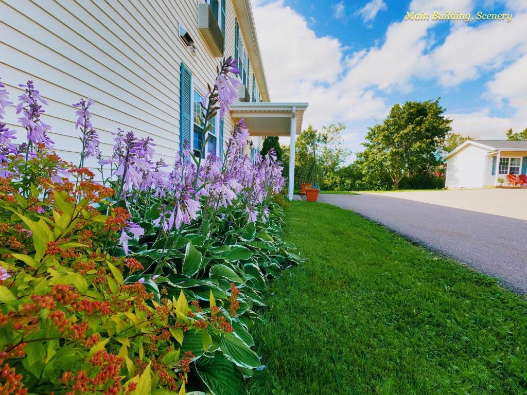 Zahrada ubytování Sherwood Inn and Motel Charlottetown