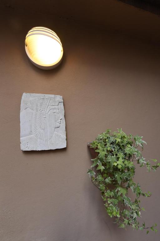 Il giardino nascosto - 18