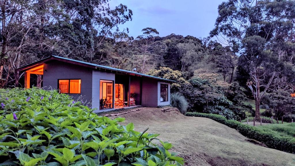 Photo de la galerie de l'établissement Olingo Monteverde, à Monteverde Costa Rica