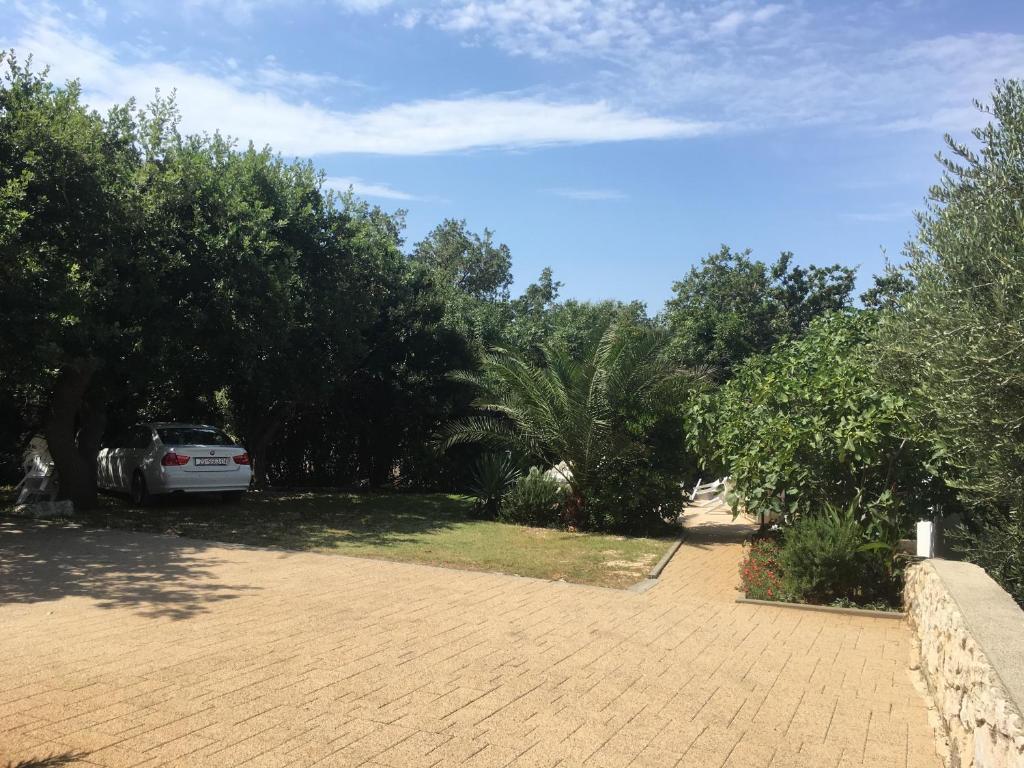 Zahrada ubytování Apartmani Belobrk Potocnica Pag