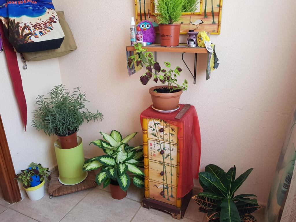 Laurainu check in de 15 a 22 hora - 12