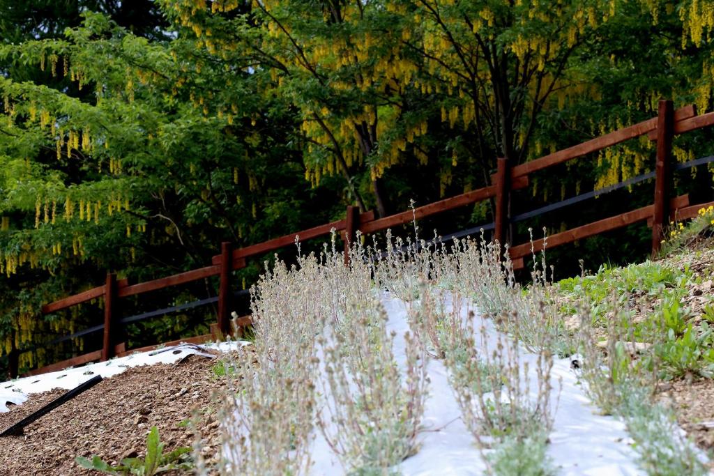 Zahrada ubytování Agriturismo A Nostro Mizoun