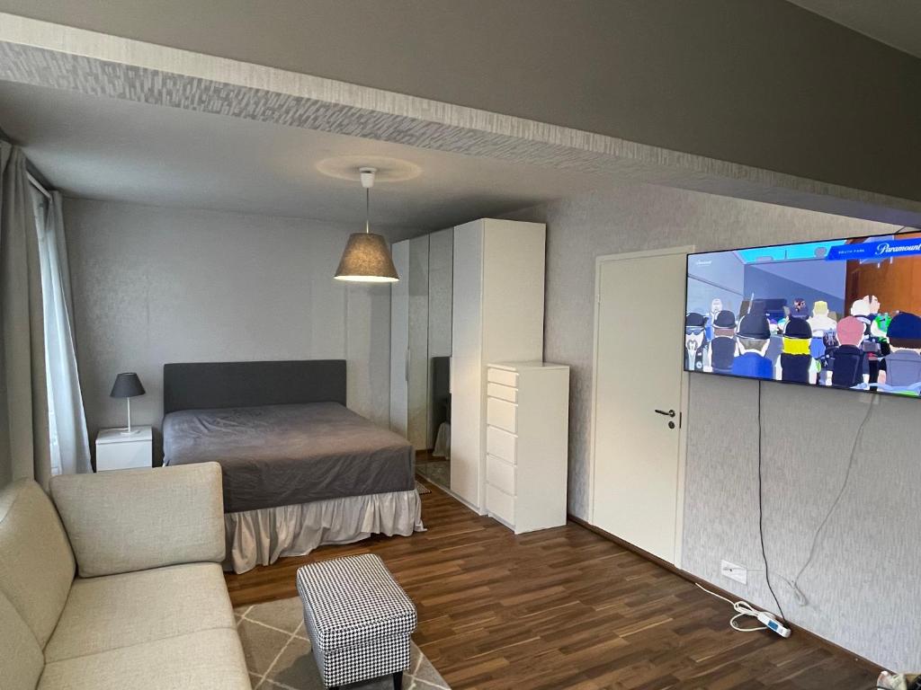 Apartment in Turku center في توركو: غرفة معيشة مع سرير وتلفزيون بشاشة مسطحة
