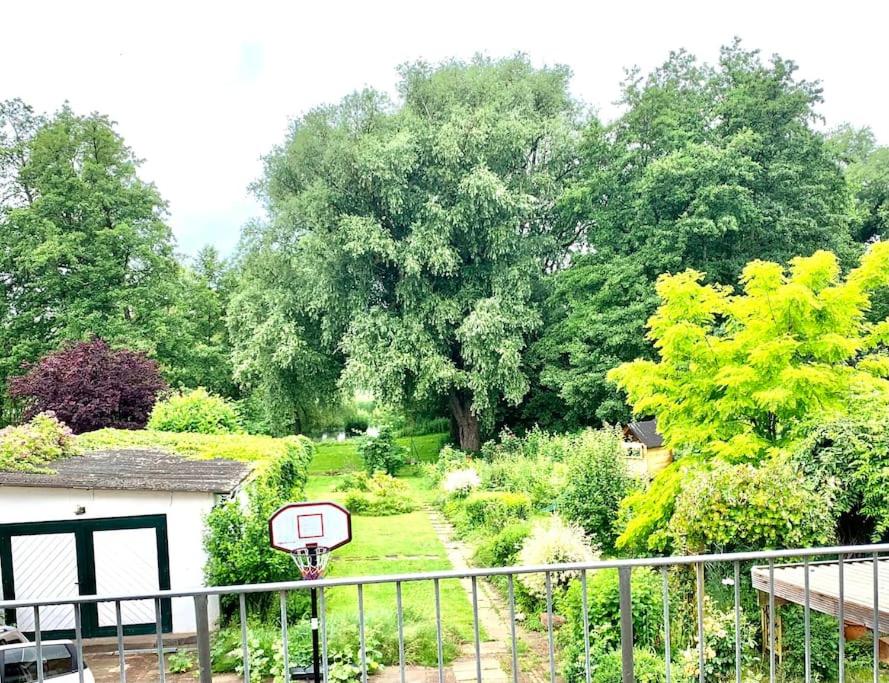 Blick auf einen Garten mit einem Basketballkorb in der Unterkunft Charmante Doppelhaushälfte Am Schwanensee in Plön in Plön