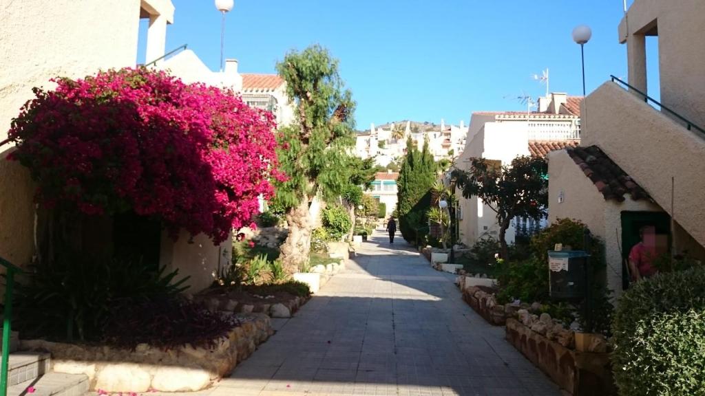 una calle en una ciudad con flores rosas y edificios en Benidorm Bungalow la Siesta A26, en Benidorm