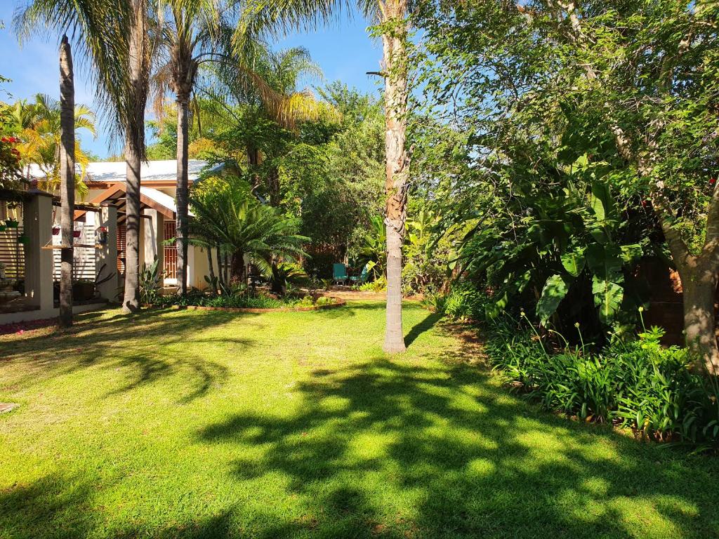 un cortile con una palma e una casa di The Garden Inn Guesthouse a Modimolle