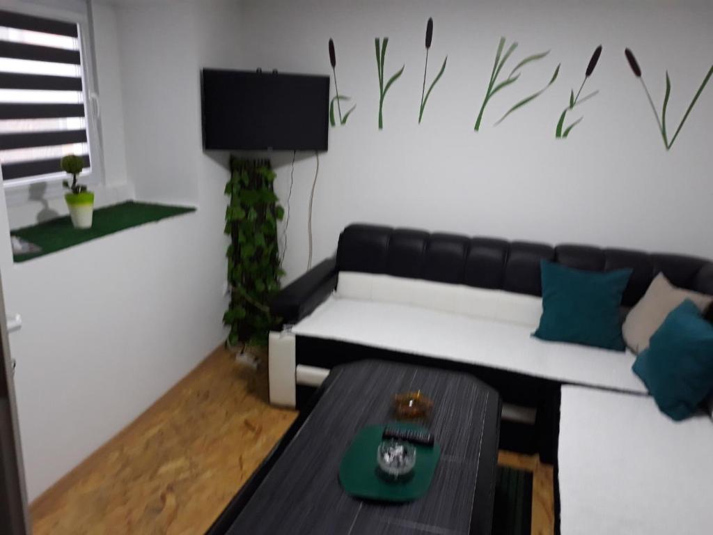 - un salon avec un canapé et une table dans l'établissement Apartman Sara, à Sarajevo
