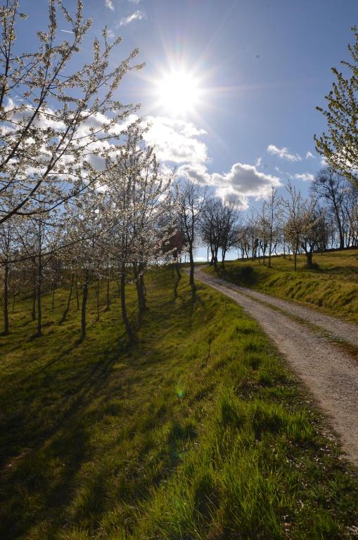 Casale Rancaglia photo