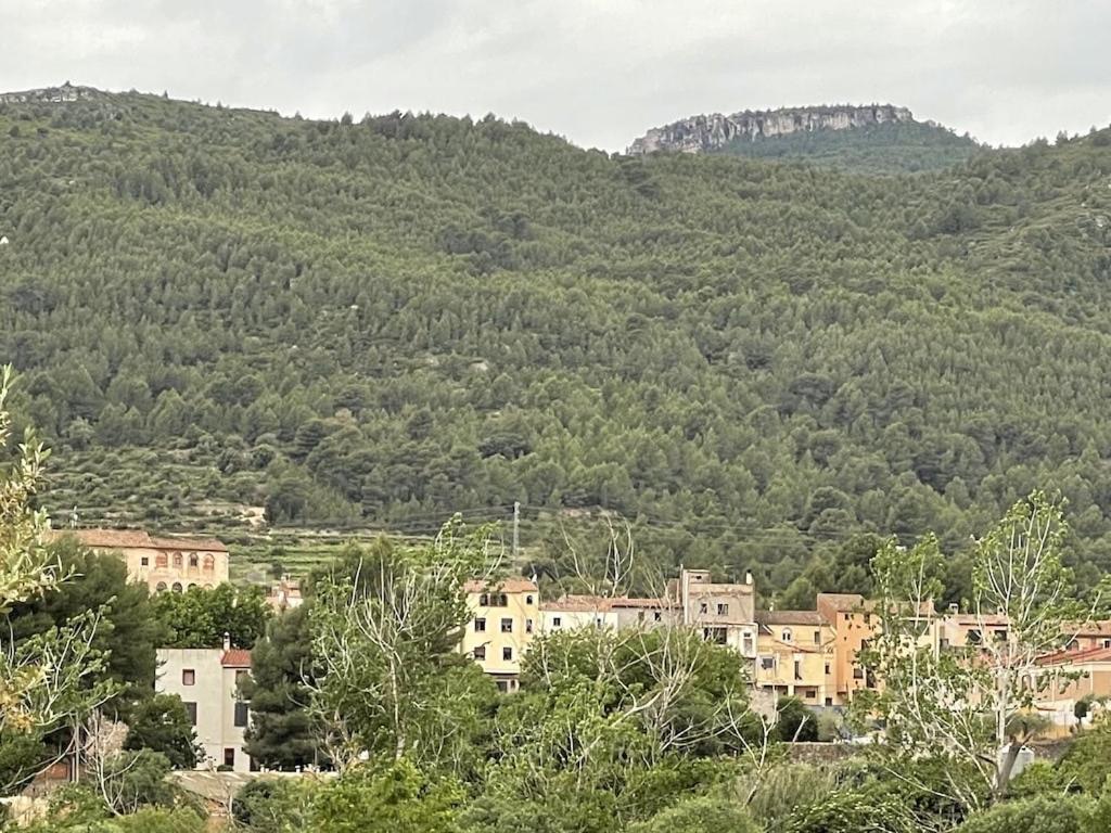 Výhľad na hory alebo výhľad na hory priamo z apartmánu