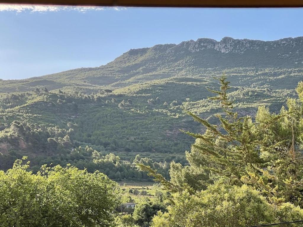 Príroda v okolí apartmánu