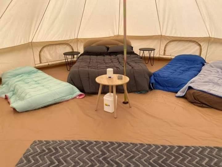 Zelt mit 2 Betten und einem Tisch in der Unterkunft Childers Nature Camp in Childers