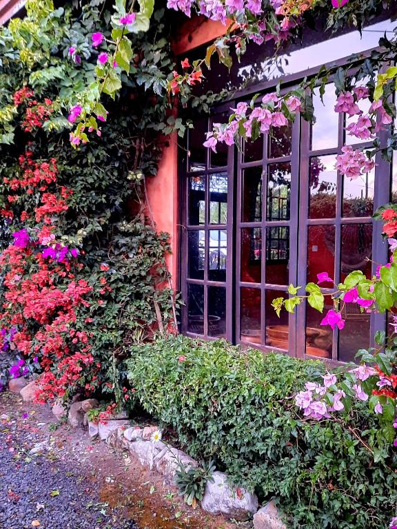 Zahrada ubytování Cabañas San Miguel
