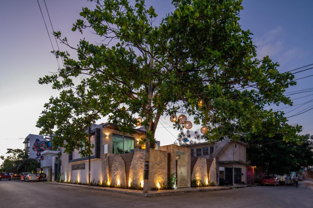 Suitetrails - Casa del Arbol