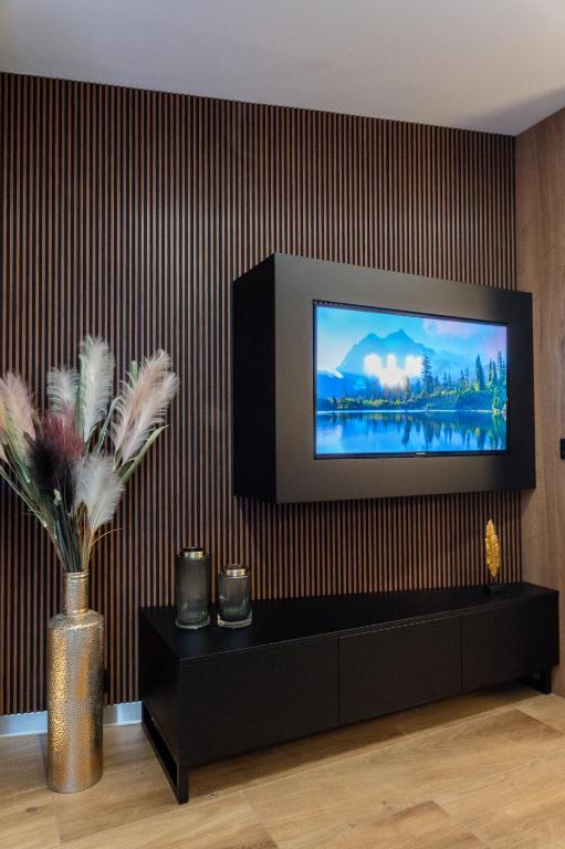 TV a/nebo společenská místnost v ubytování Jacuzzi Apartment Main Square