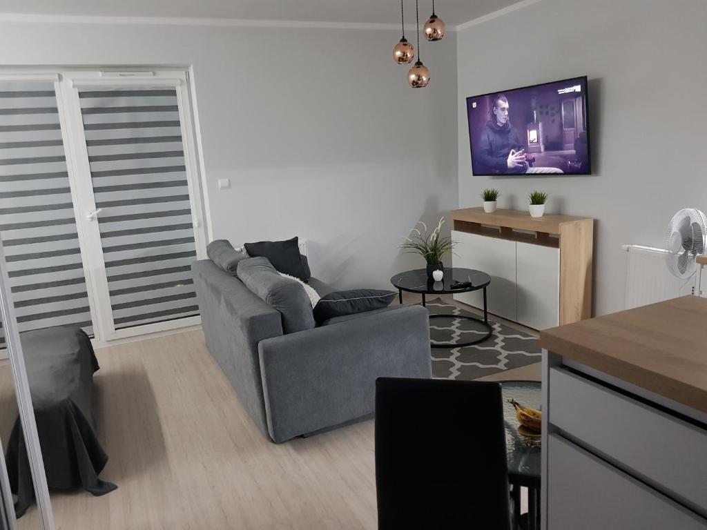 Televízia a/alebo spoločenská miestnosť v ubytovaní Apartamenty Limanowskiego