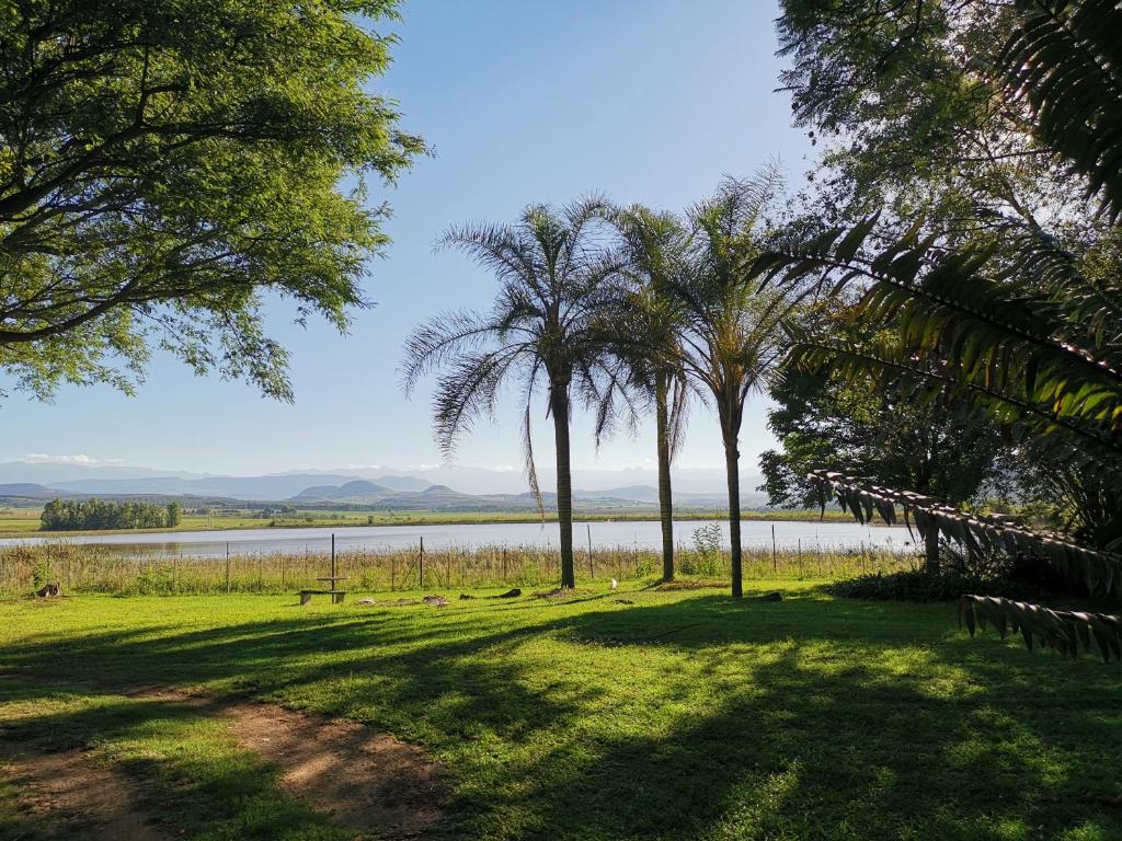 a group of palm trees next to a body of water at Drakensberg Bush Lodge and Backpackers in Winterton