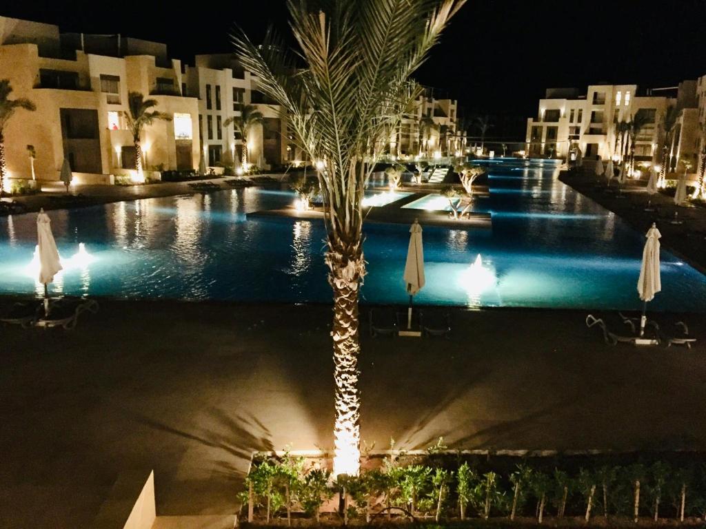 Mangroovy - Elgouna Authentic Designer shared home 2 BDR each with private bathroom for Kitesurfers with Pool View & Beach Access في الغردقة: نخلة أمام المسبح في الليل