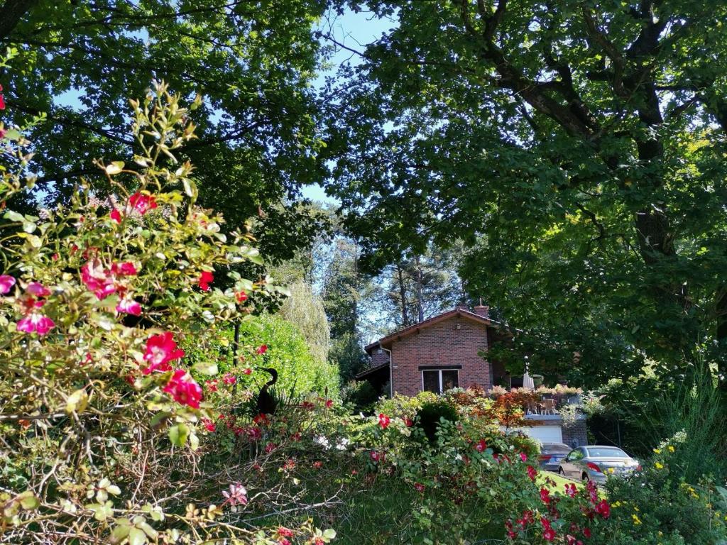 Les Sittelles - Tilff في Esneux: منزل في وسط حديقة بها زهور