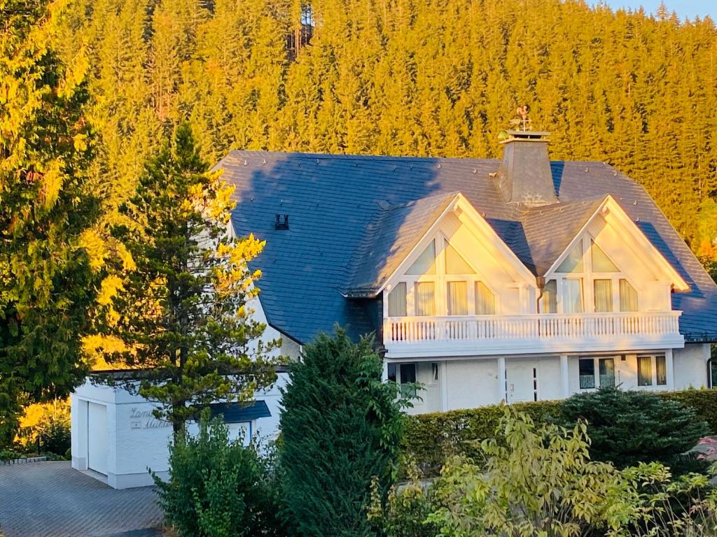 a house on a hill with trees in the background at Landhaus Mühlenberg in Willingen