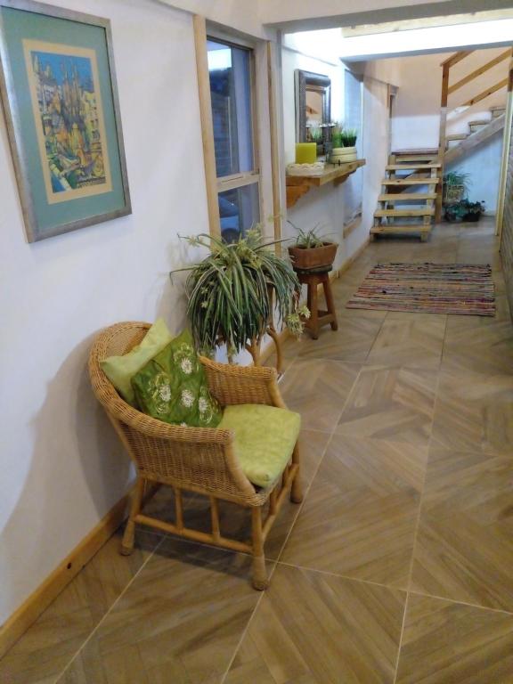 un corridoio con una sedia con delle piante di Hermosa y cálida casa tipo cabaña a Creel
