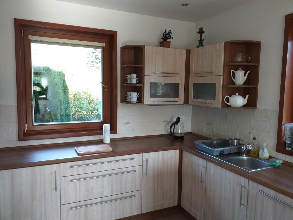 Kuchyň nebo kuchyňský kout v ubytování FAMILY HOUSE Tisá