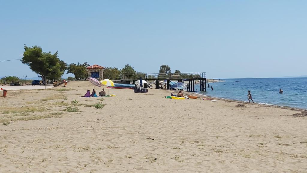 Příroda nedaleko apartmánu