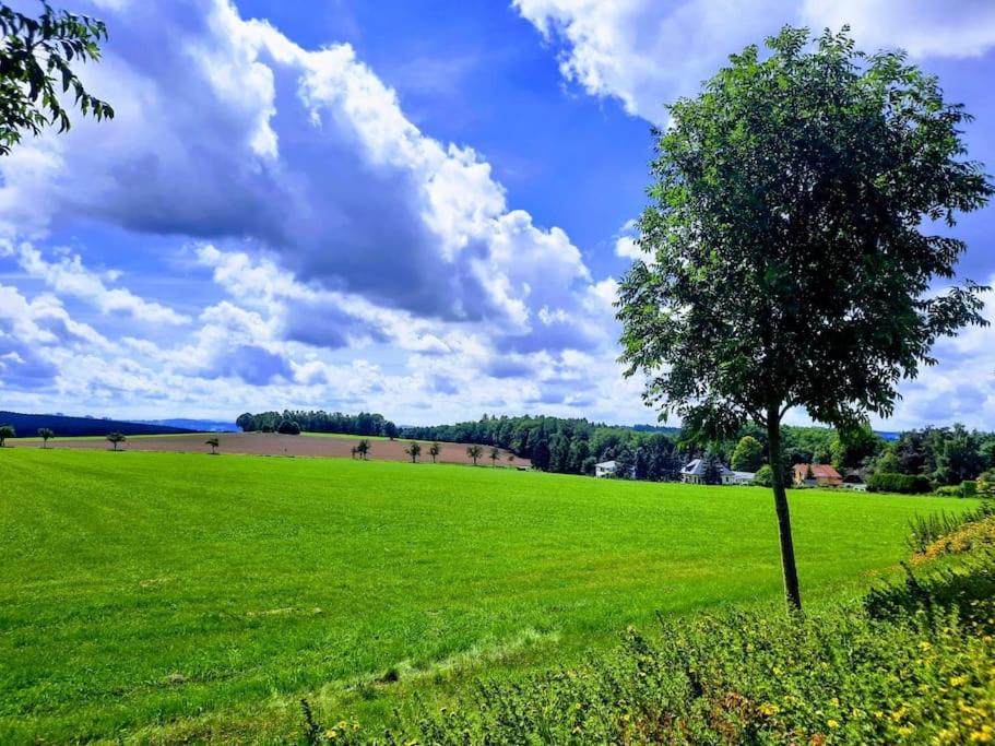 a tree in the middle of a green field at Precioso apartamento, aparcamiento gratis in Augustusburg